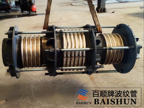 直管壓力平衡式波紋補償器圖片